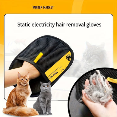 Kedi ve Köpeğinizle Bağınızı Güçlendiren Temizlik Anları